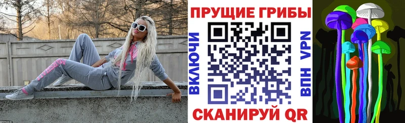 Галлюциногенные грибы Psilocybe  что такое   мега ONION  Вольск 