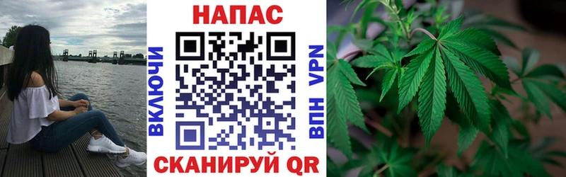 МАРИХУАНА конопля  как найти закладки  Вольск 